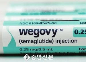 비만 치료제 '위고비' 가격 경쟁에 나섰다....'에페' 출시 앞두고 건강보험 등재 추진
