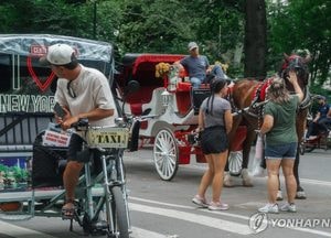 '150년 역사' 뉴욕 센트럴파크 마차 사라진다…내후년 금지 전망
