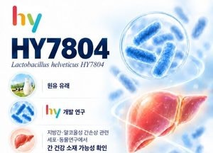 hy "자체 개발 유산균, 알코올성 간손상 완화"…국제학술지 게재