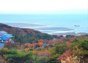 '국립휴양림 단풍 절정' 권역별 지도 공개…21일 강원 삼봉 시작