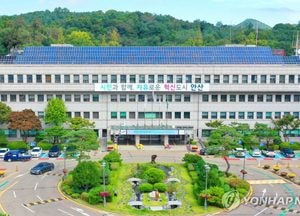 안산시, 지역화폐 다온카드 결제 시 15% 캐시백