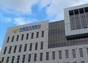 40대 딸이 모친 살해 후 자진 신고…경찰, 범행 동기 조사 중(종합2보)