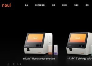 노을, 제3자배정 유상증자 결정…27억5000만원 규모