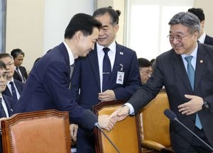 경찰청장 대행 "관계성 범죄 보호조치, 경찰이 직접 신청 필요"