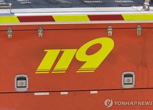 양계장 화재로…'삐약이' 3만2000여마리 화장